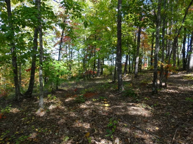210 Cliffside Trail Pickens, SC 29671 - Photo 8 of 33