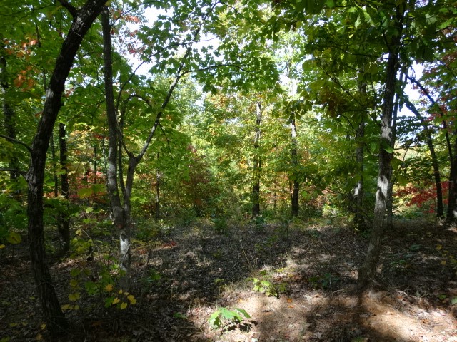 210 Cliffside Trail Pickens, SC 29671 - Photo 9 of 33