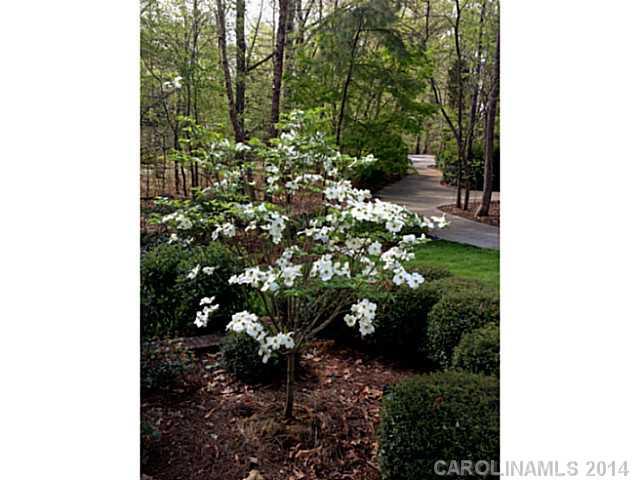 20000 Norman Colony Road Cornelius, NC 28031 - Photo 17 of 24 Gallery Image 17