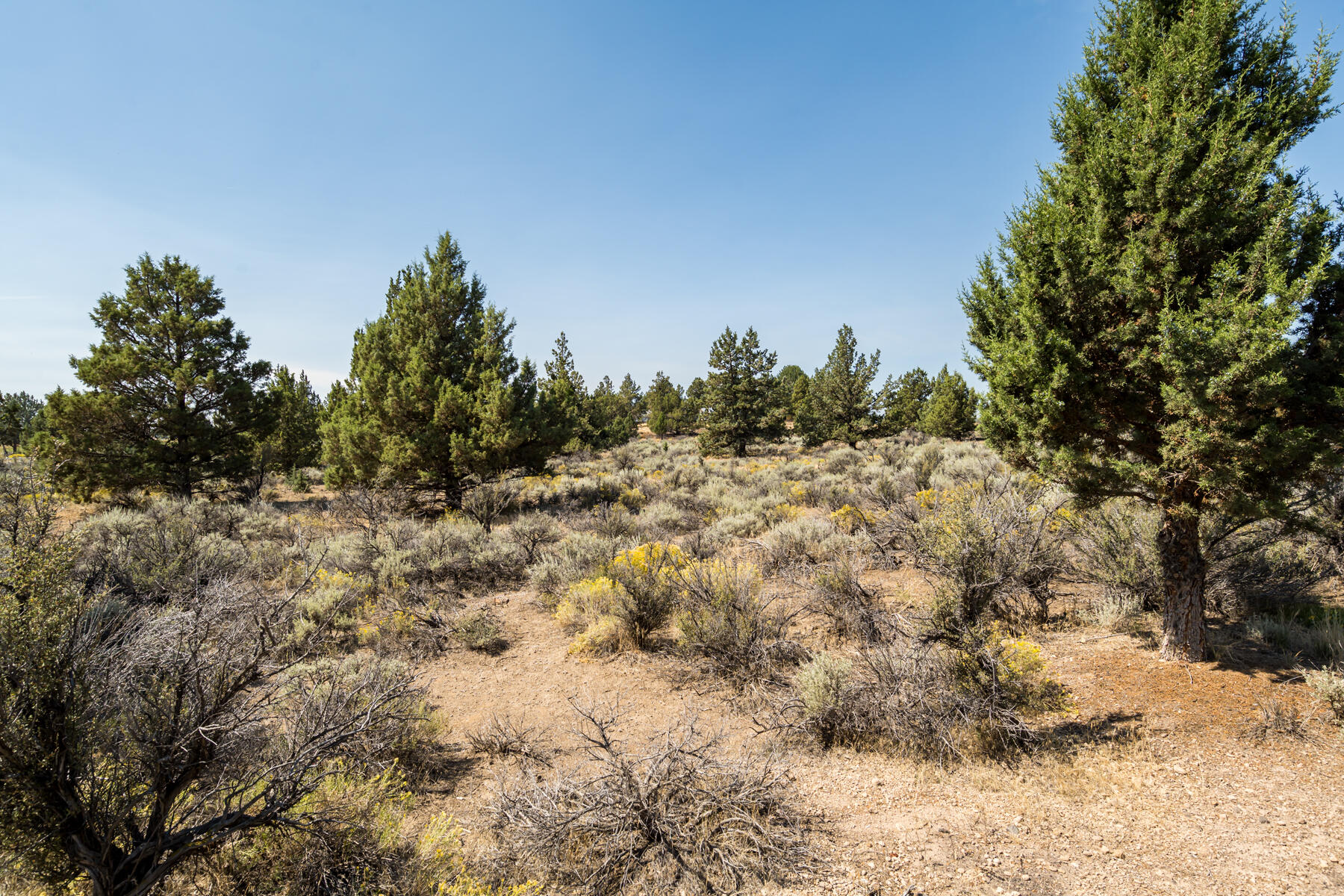 21936 Bear Creek Road Bend, OR 97701 - Photo 59 of 75 JH5_1090