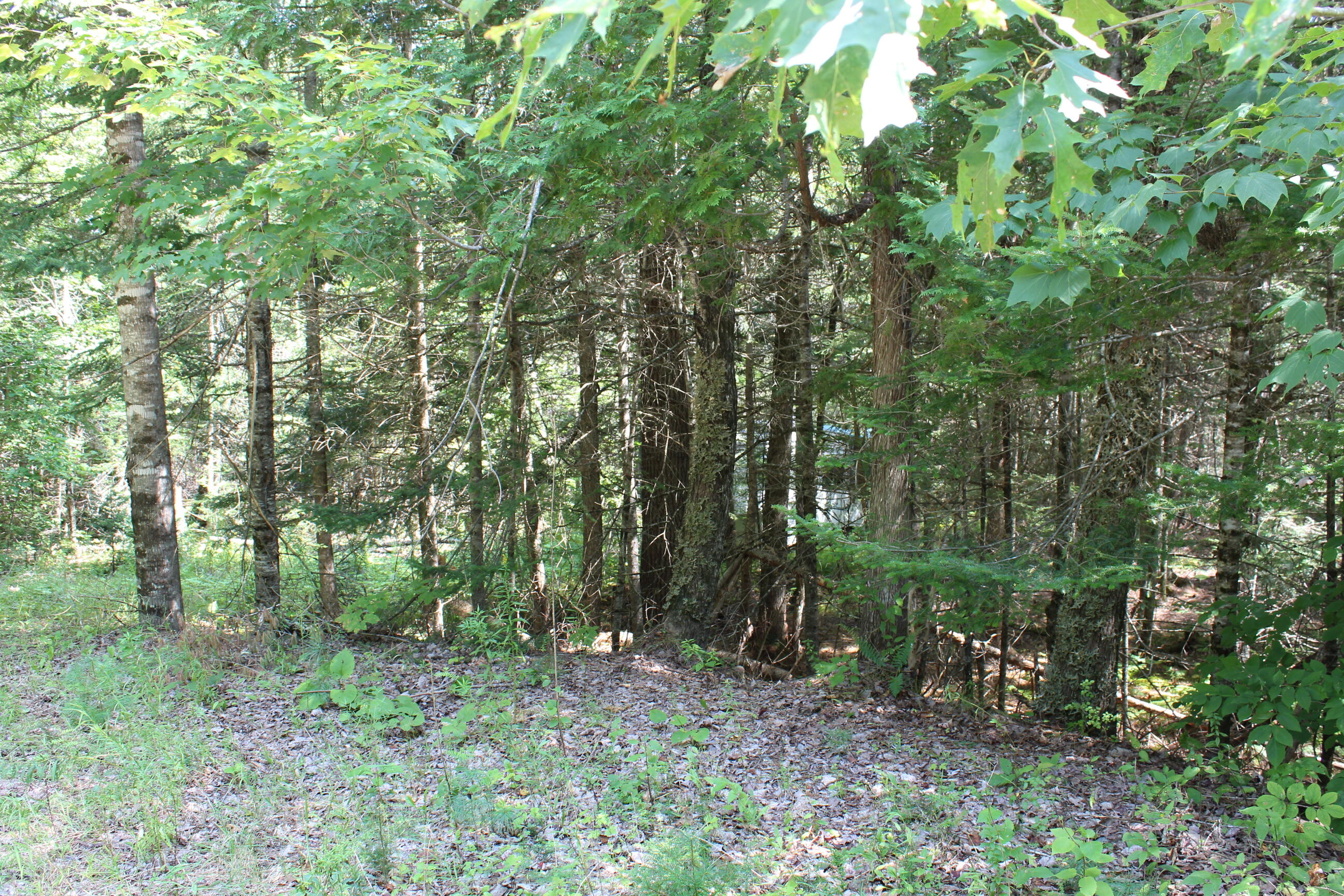 M62-2 Lt 3 M62-2 Road Belfast, ME 04915 - Photo 6 of 15 IMG_1271
