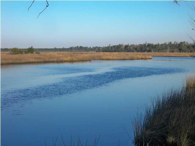 1111 Bulow Point Road Johns Island, SC 29455 - Photo 4 of 17 down the creek