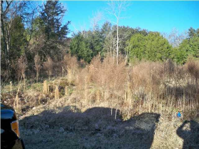 1111 Bulow Point Road Johns Island, SC 29455 - Photo 6 of 17 lot