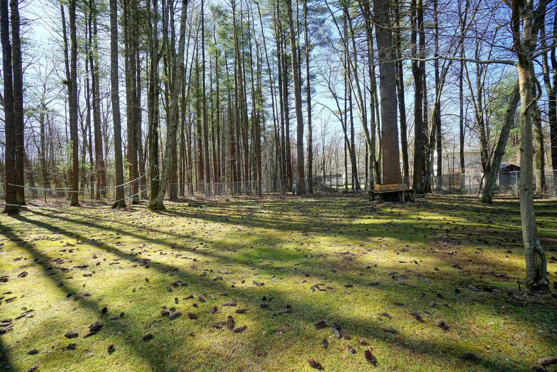143 Litchfield Road Londonderry, NH 03053 - Photo 26 of 31