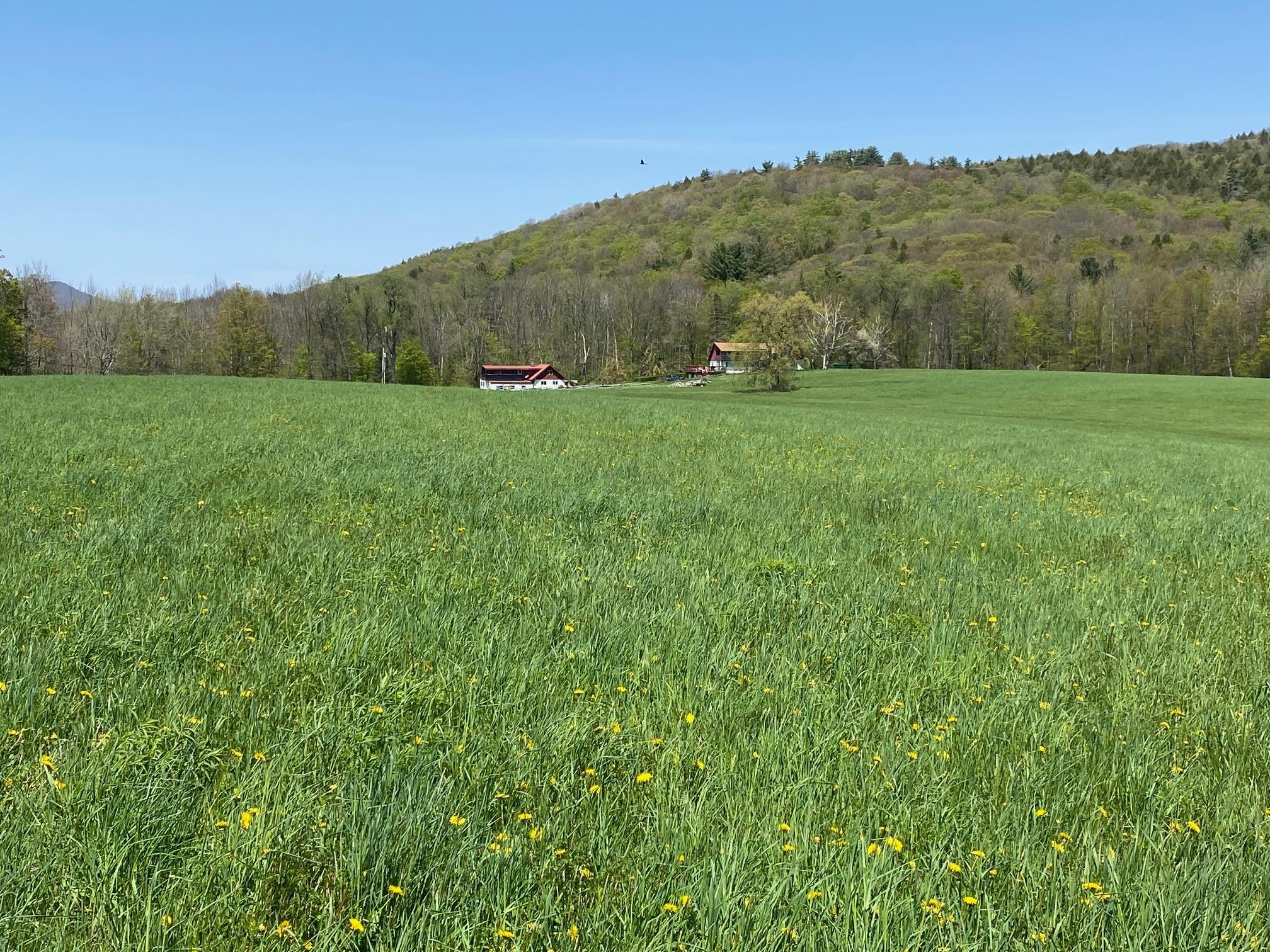 0 East Road Tinmouth, VT 05773 - Photo 32 of 34