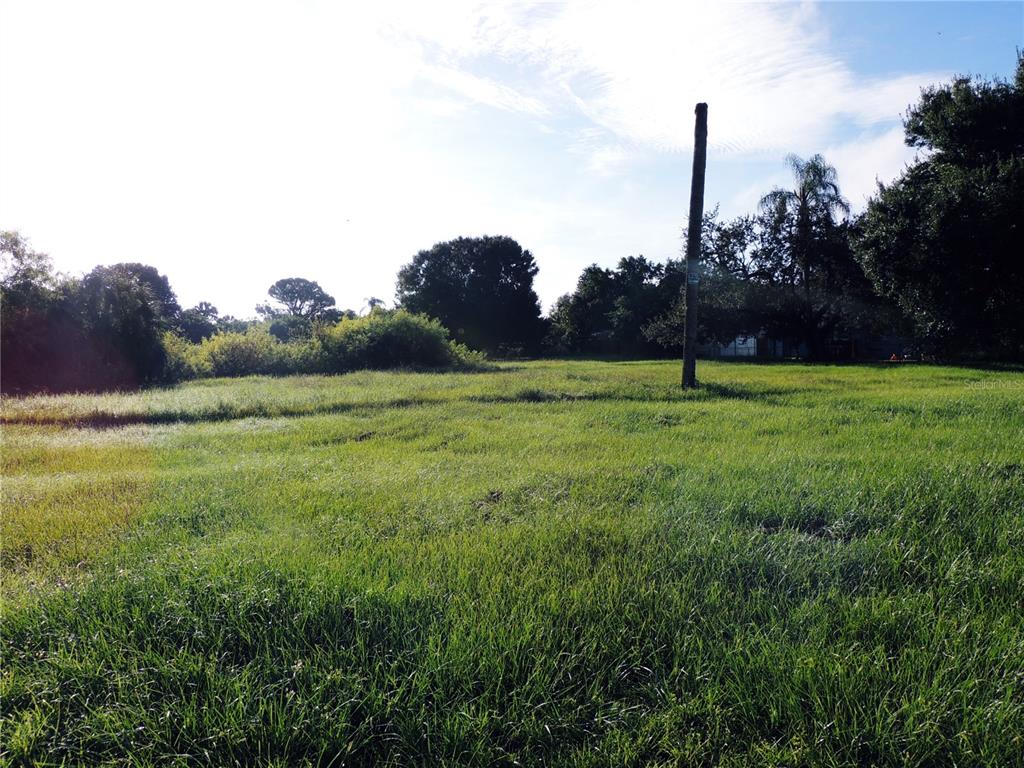 a view of a field with a tree and a yard