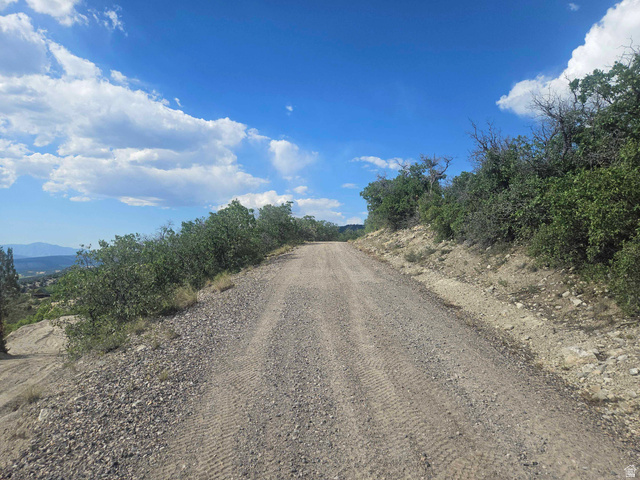 6 South Red Fox Way West, Unit 6 Fairview, UT 84629 - Photo 5 of 11 Gravel road with natural foliage and distant mountains