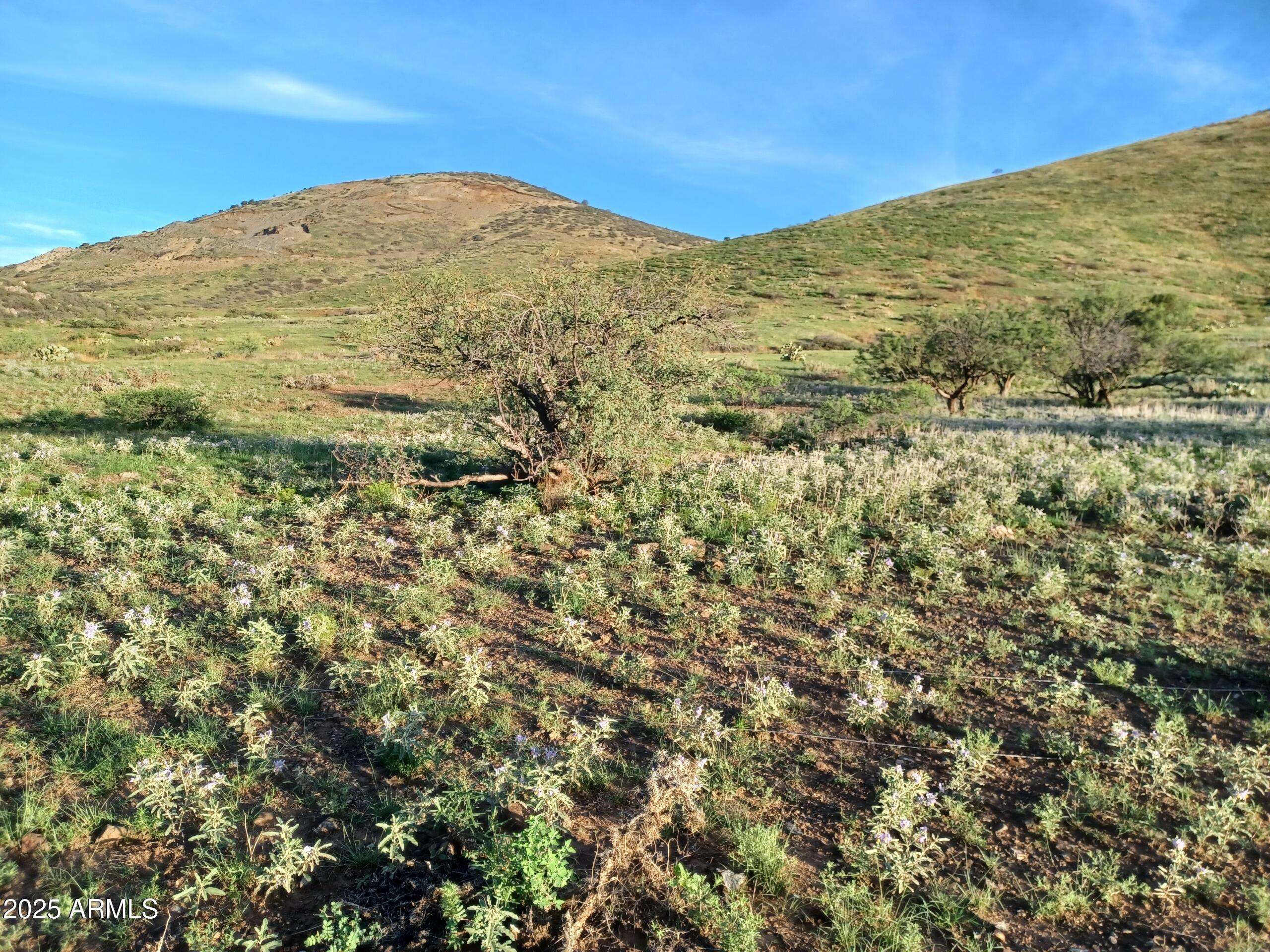 5668 Miners Pick Road Mayer, AZ 86333 - Photo 33 of 39 VAIJ9142