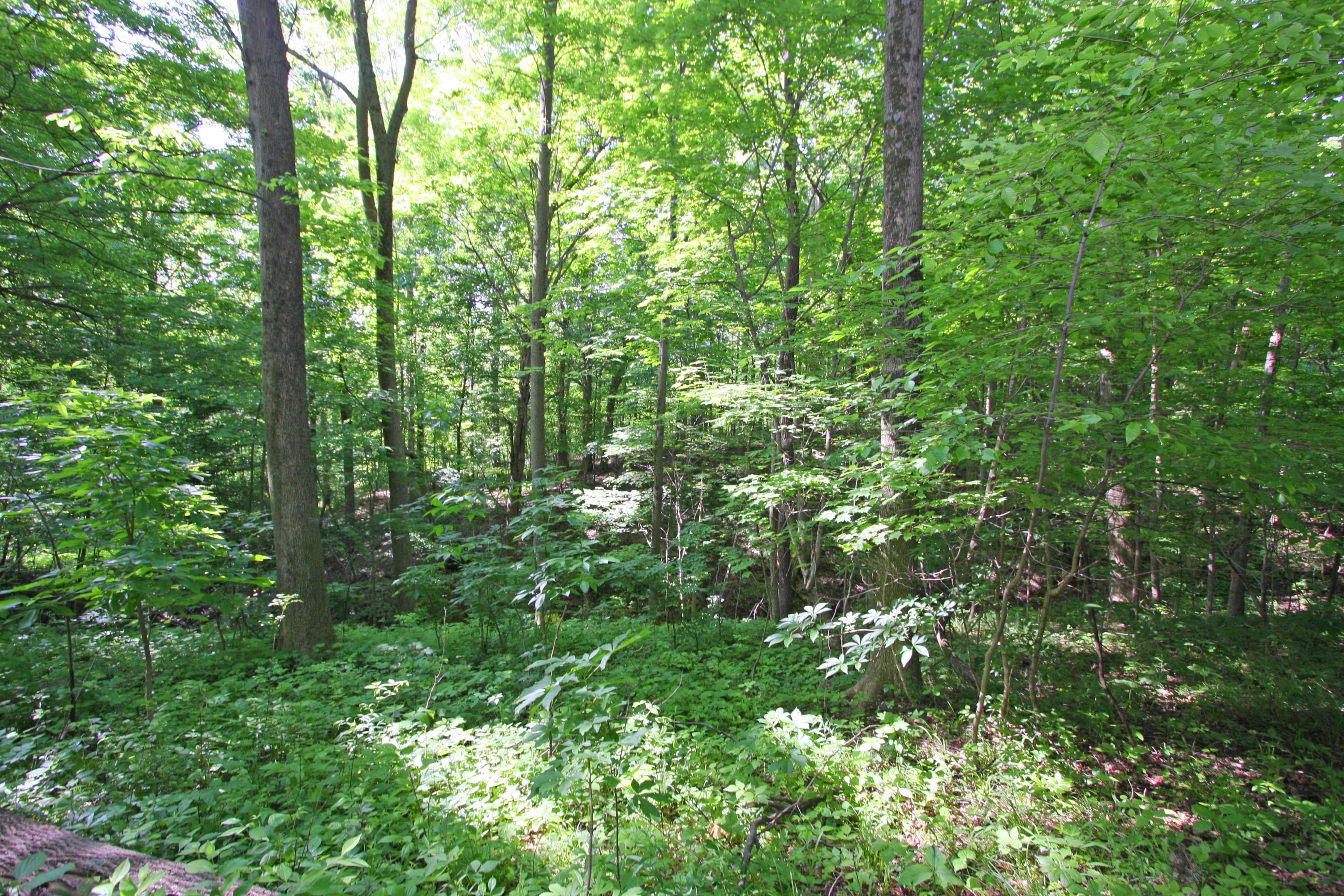 12059 Tucker Road Mount Vernon, OH 43050 - Photo 13 of 50 Gallery Image 13