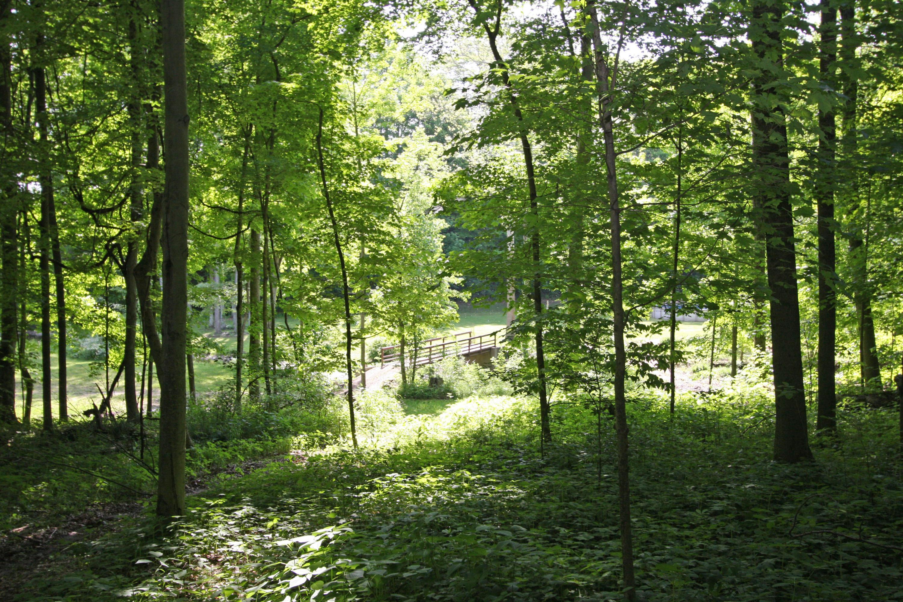 12059 Tucker Road Mount Vernon, OH 43050 - Photo 14 of 50 Gallery Image 14