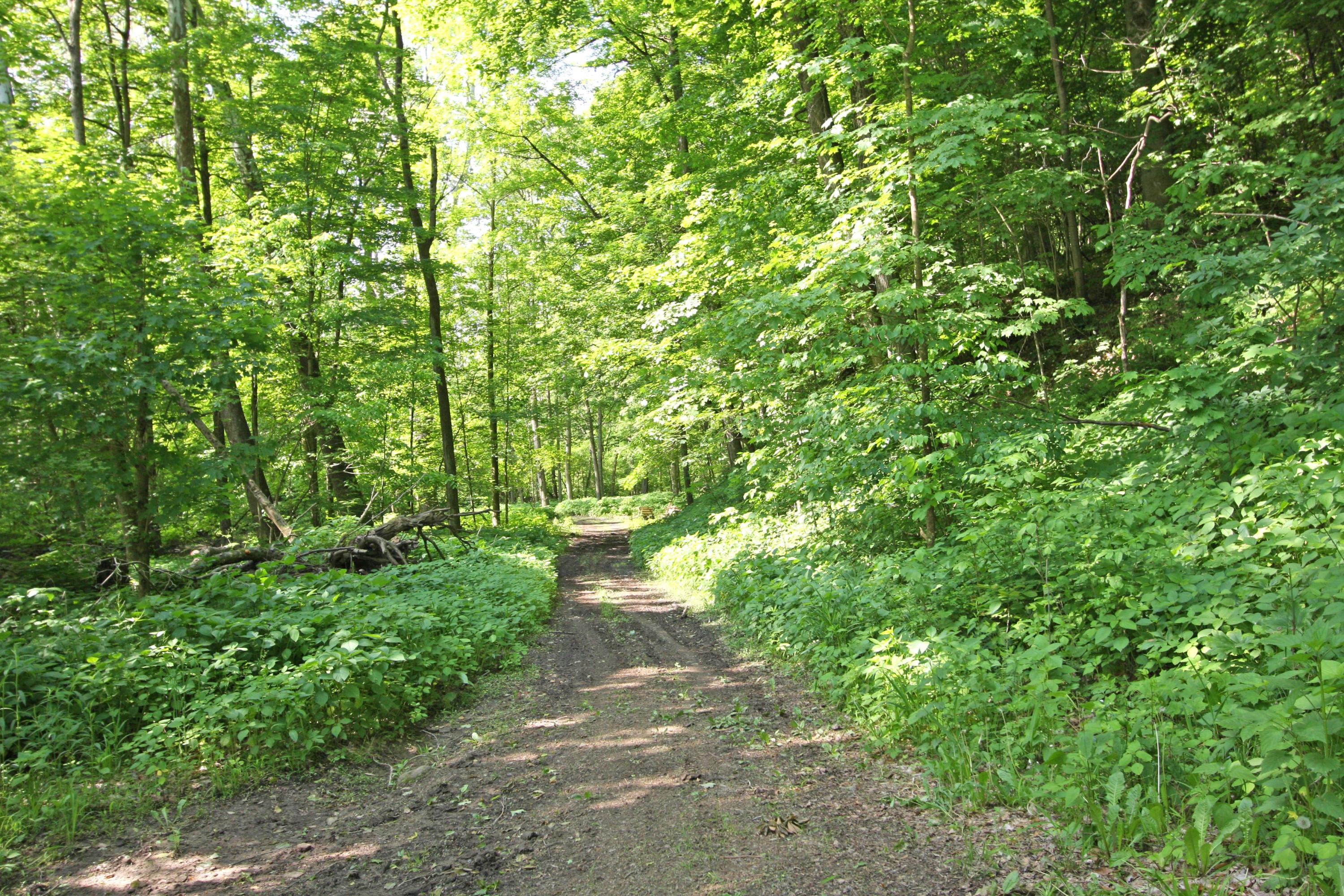 12059 Tucker Road Mount Vernon, OH 43050 - Photo 18 of 50 Gallery Image 18