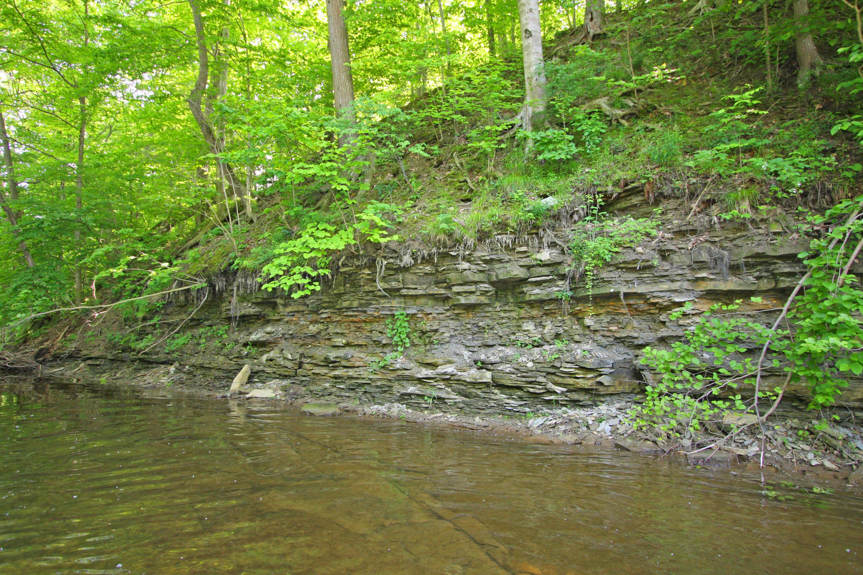 12059 Tucker Road Mount Vernon, OH 43050 - Photo 22 of 50 Gallery Image 22