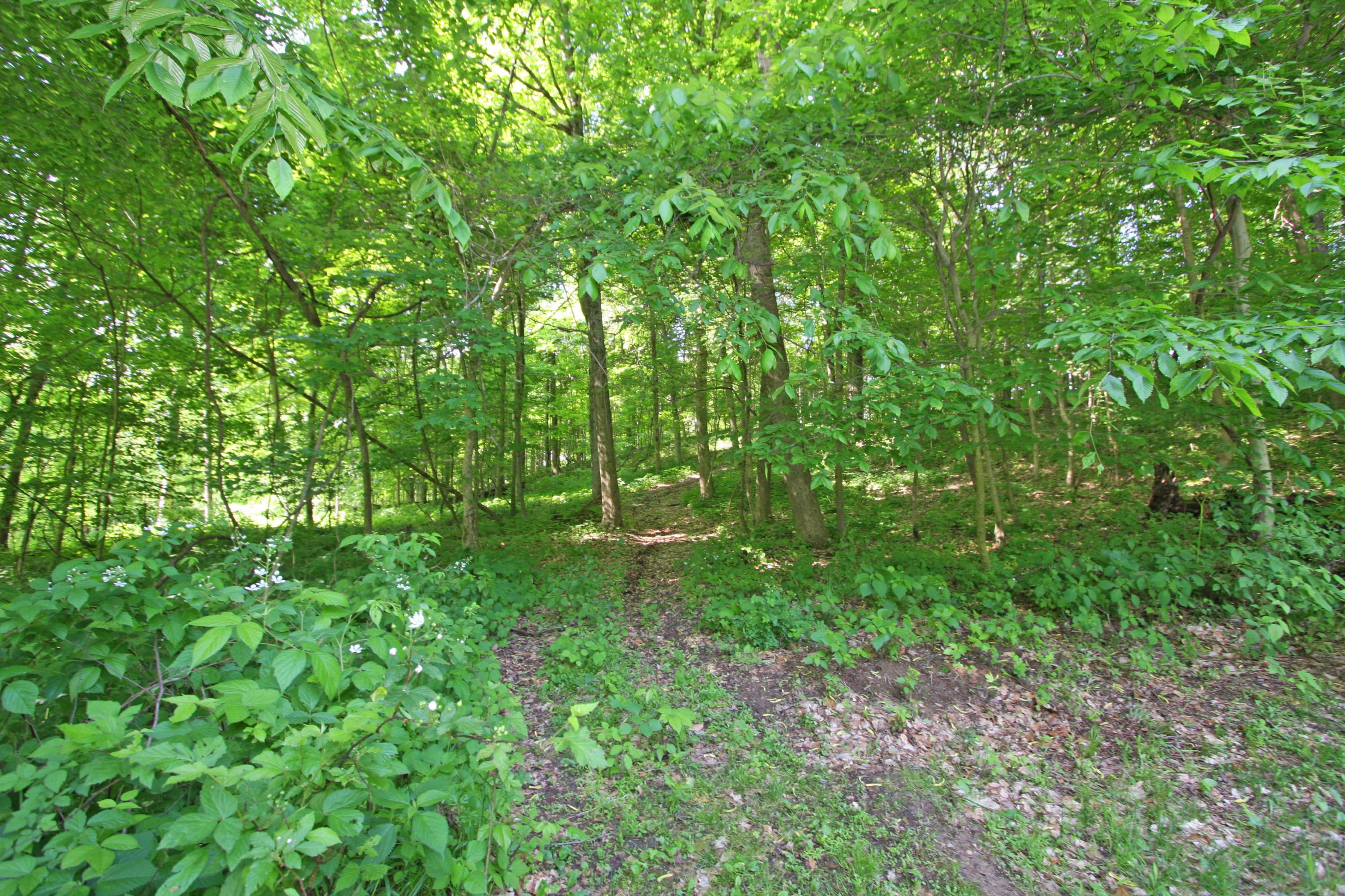 12059 Tucker Road Mount Vernon, OH 43050 - Photo 10 of 50 Gallery Image 10