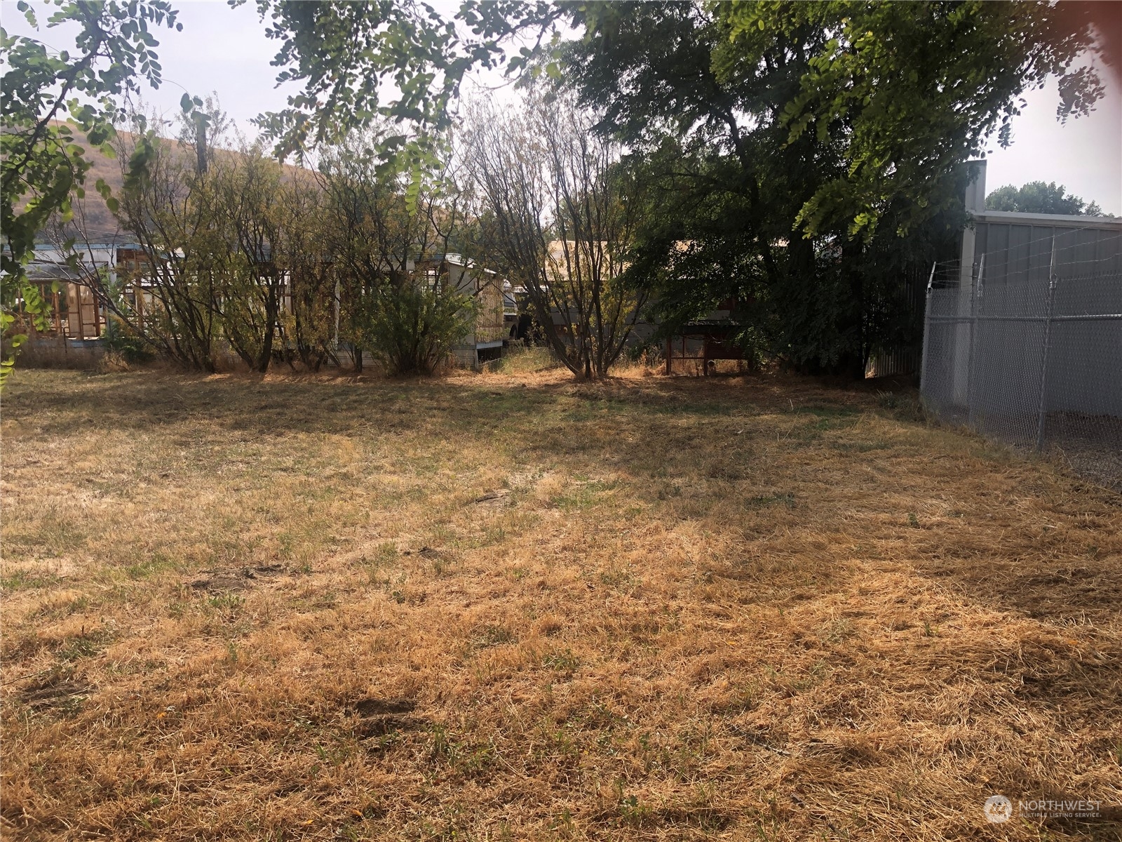 124 Murphy Street Waitsburg, WA 99361 - Photo 4 of 7 a view of a yard with a tree