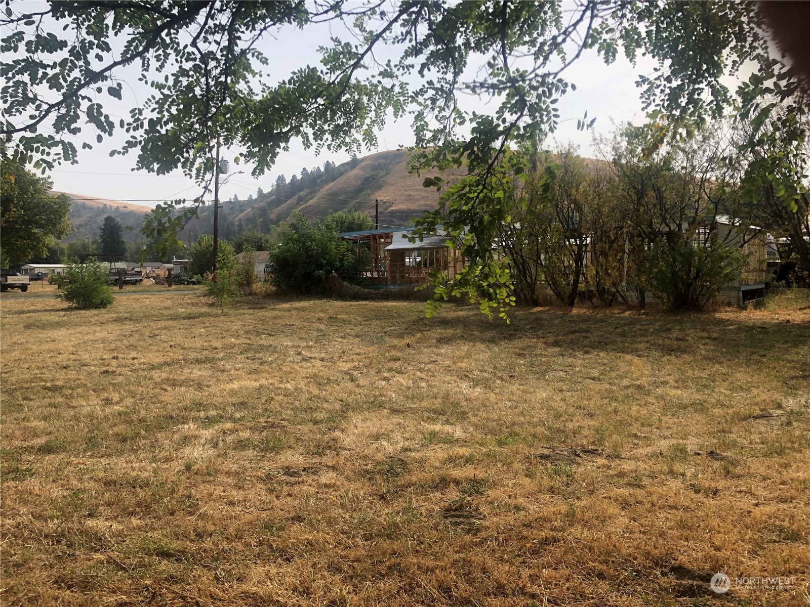 124 Murphy Street Waitsburg, WA 99361 - Photo 5 of 7 a backyard of a house with large trees