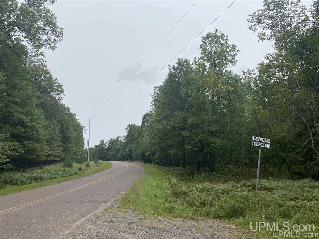 Tbd Tbd Grace Lake Road Watersmeet, MI 49969 - Photo 12 of 16