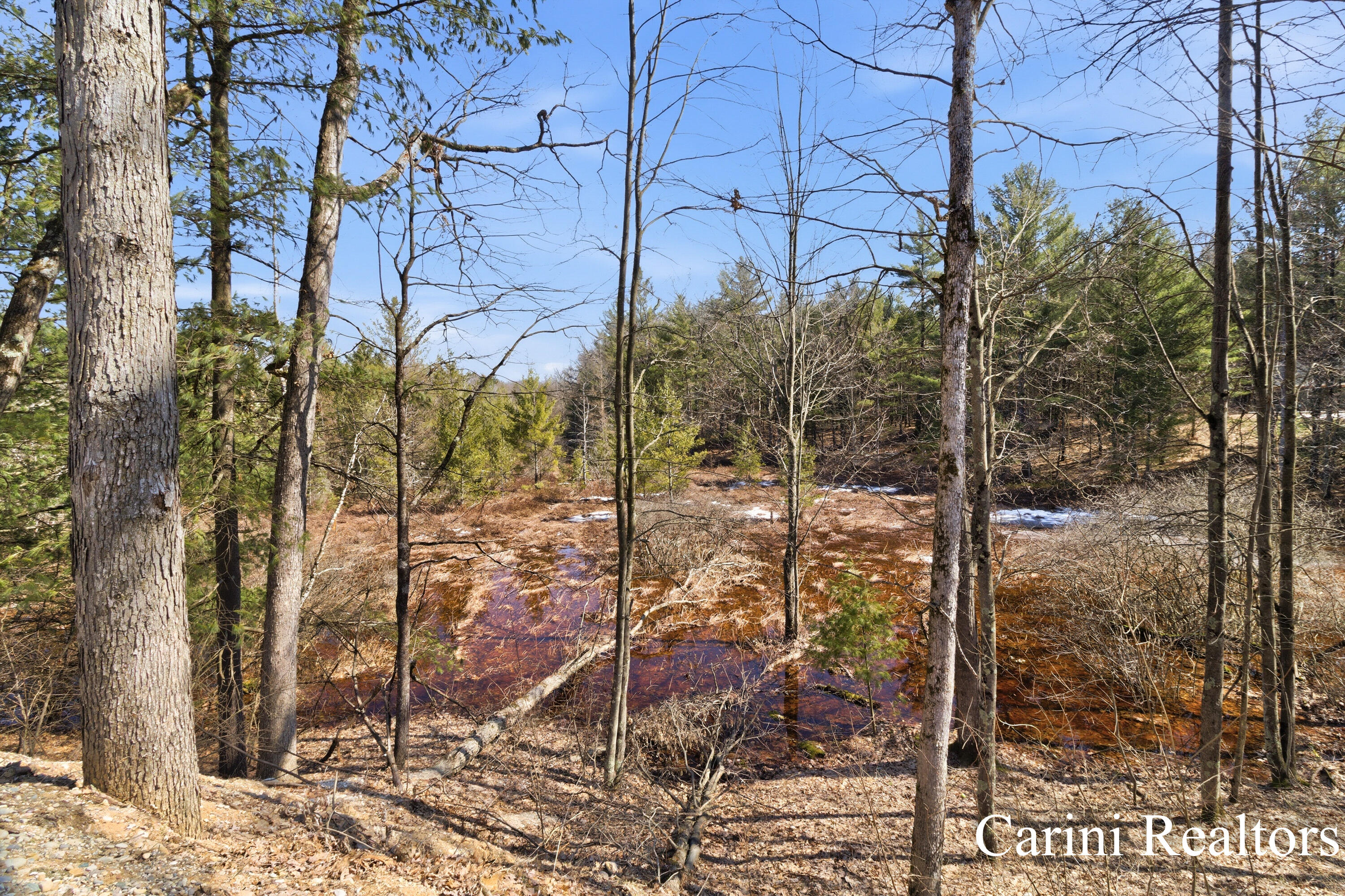 6384 North Mac Road Irons, MI 49644 - Photo 48 of 61 Drew Schippa - 6384 N Mac Road-50