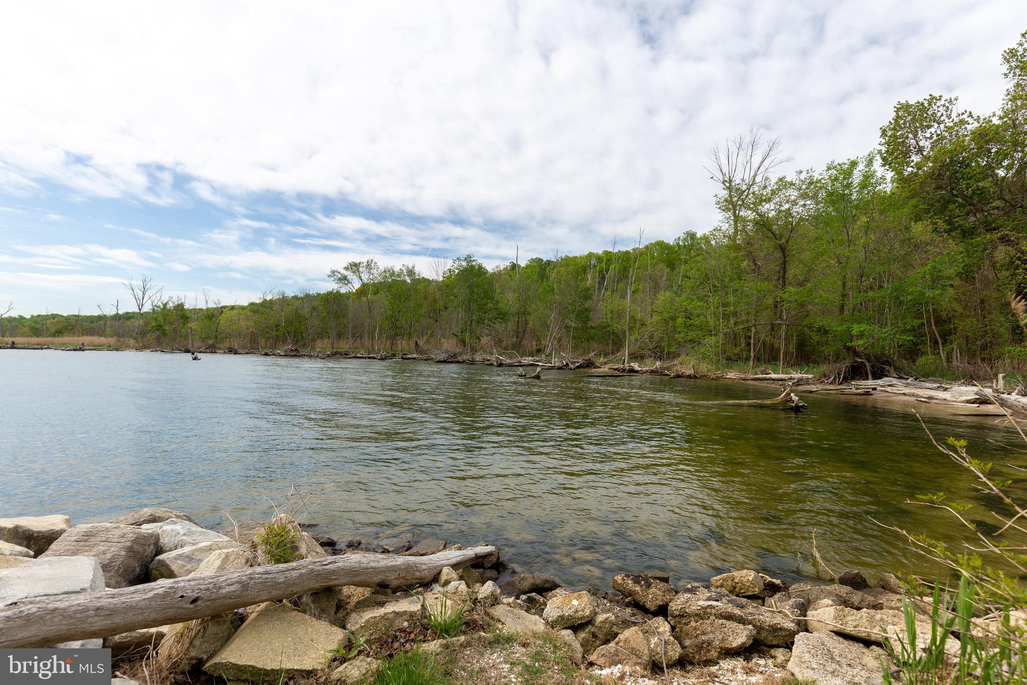 1615 Cedar Road St. Leonard, MD 20685 - Photo 31 of 36 Flag Ponds