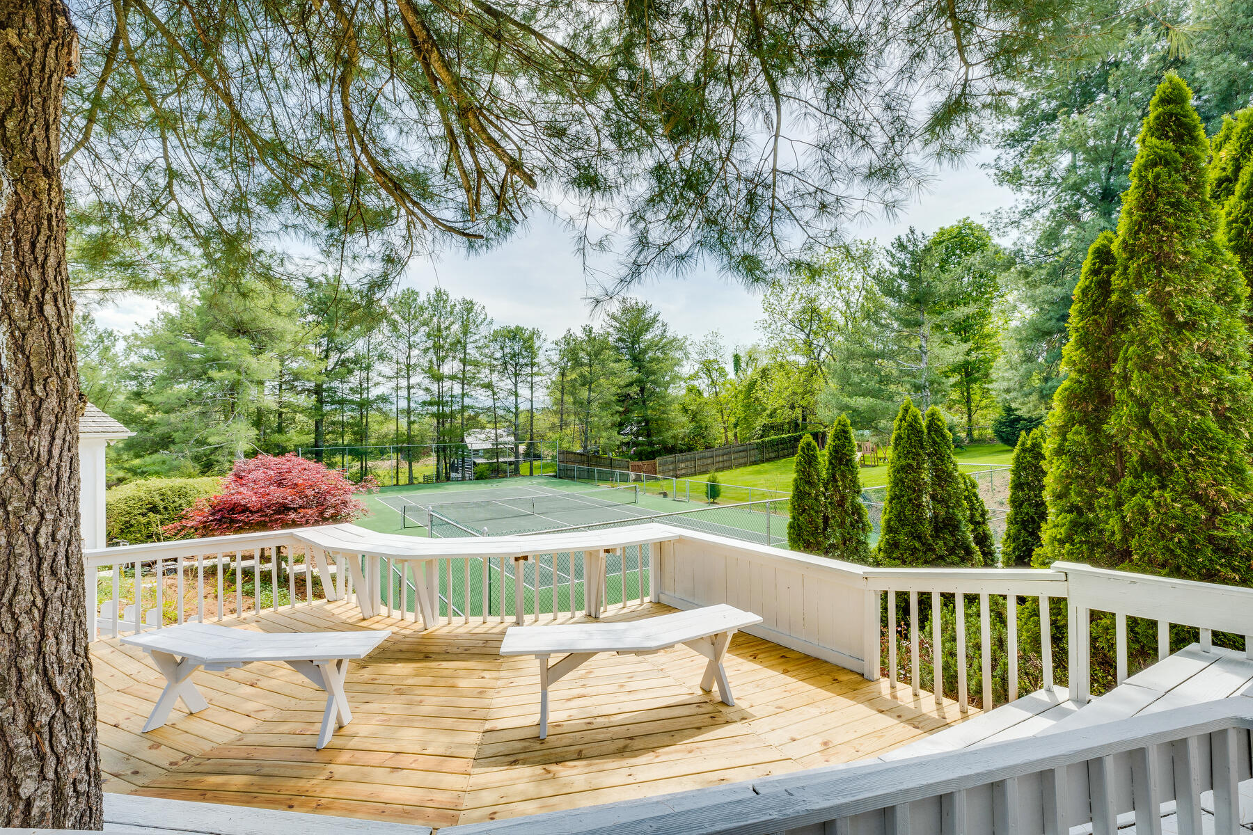 707 East Mountain View Road Johnson City, TN 37601 - Photo 77 of 102 077