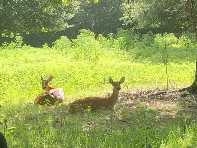 $935,000 | 9082 Idaho Lane, Midway, TX 75852