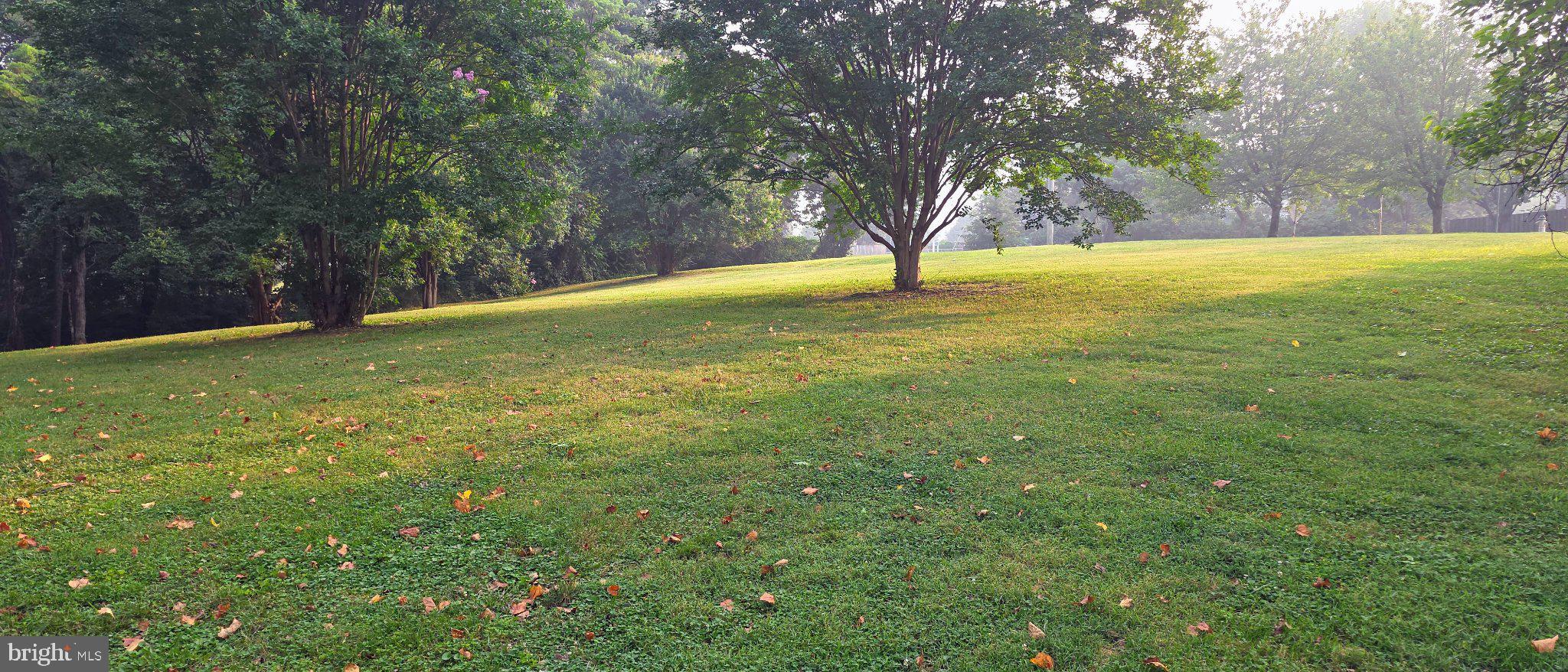 506 Pickwick Village Way Silver Spring, MD 20901 - Photo 21 of 31 Serene morning light on lush greenery.