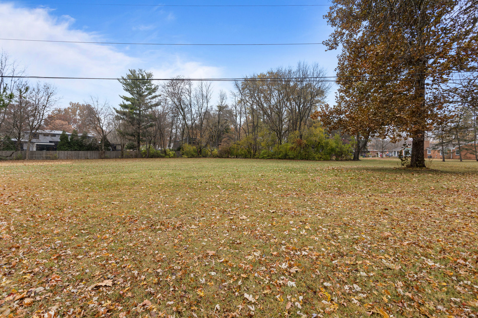 904 West Kirby Avenue Champaign, IL 61821 - Photo 39 of 46 a view of a field with an trees in the background