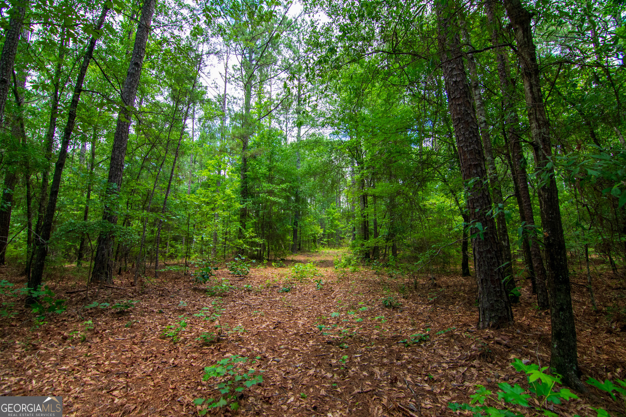 0 White Road Pine Mountain, GA 31822 - Photo 12 of 22