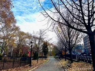 a view of outdoor space with lots of trees
