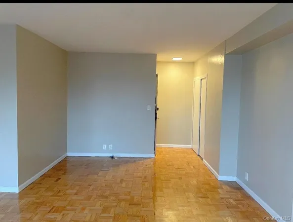 a view of a big room with closet and wooden floor