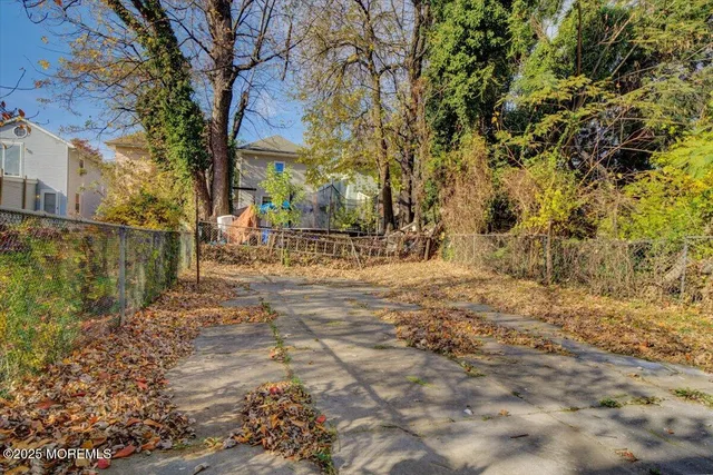 a view of a yard with plants and trees