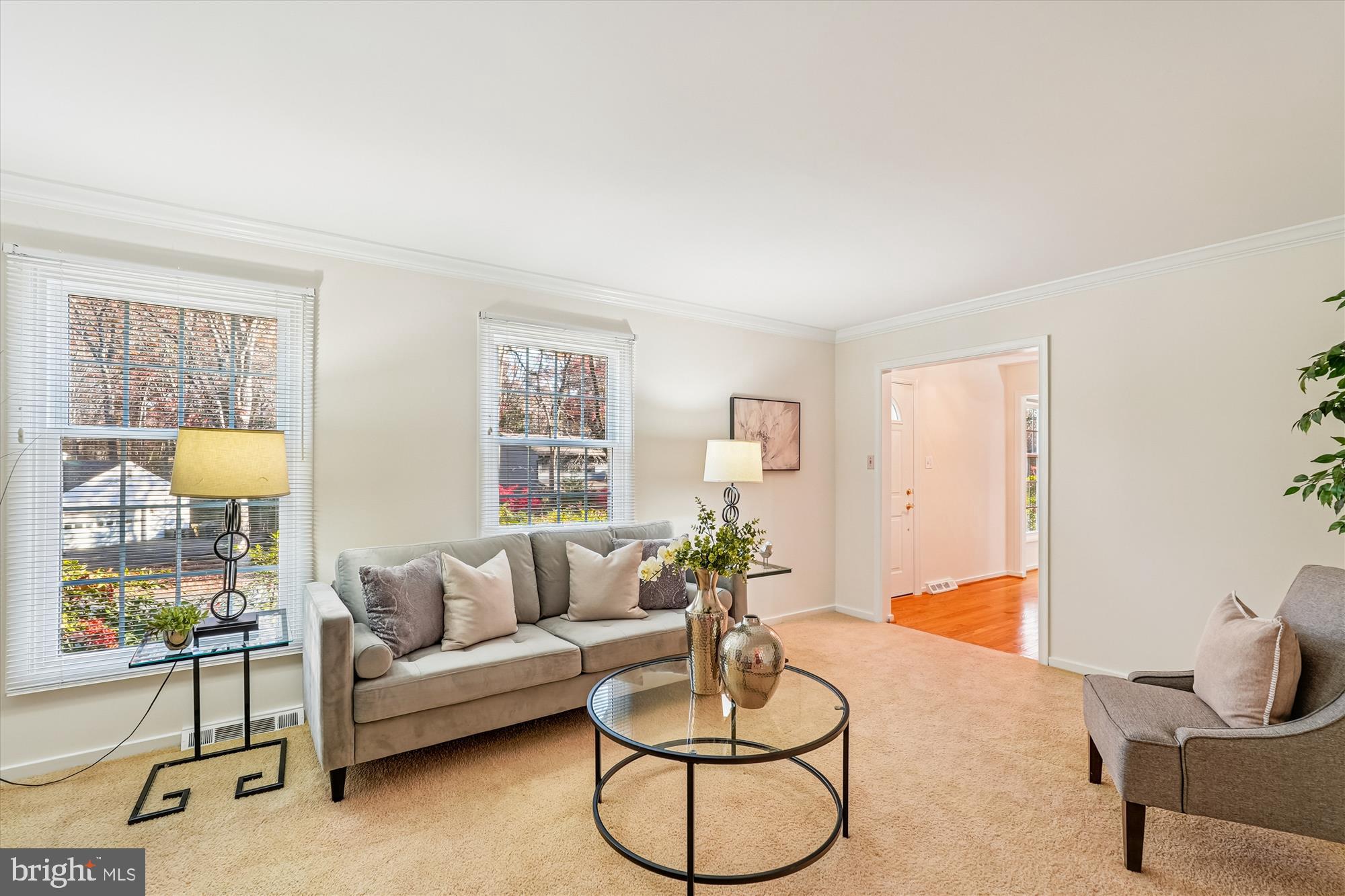 11410 Running Cedar Road Reston, VA 20191 - Photo 6 of 56 a living room with furniture and a potted plant
