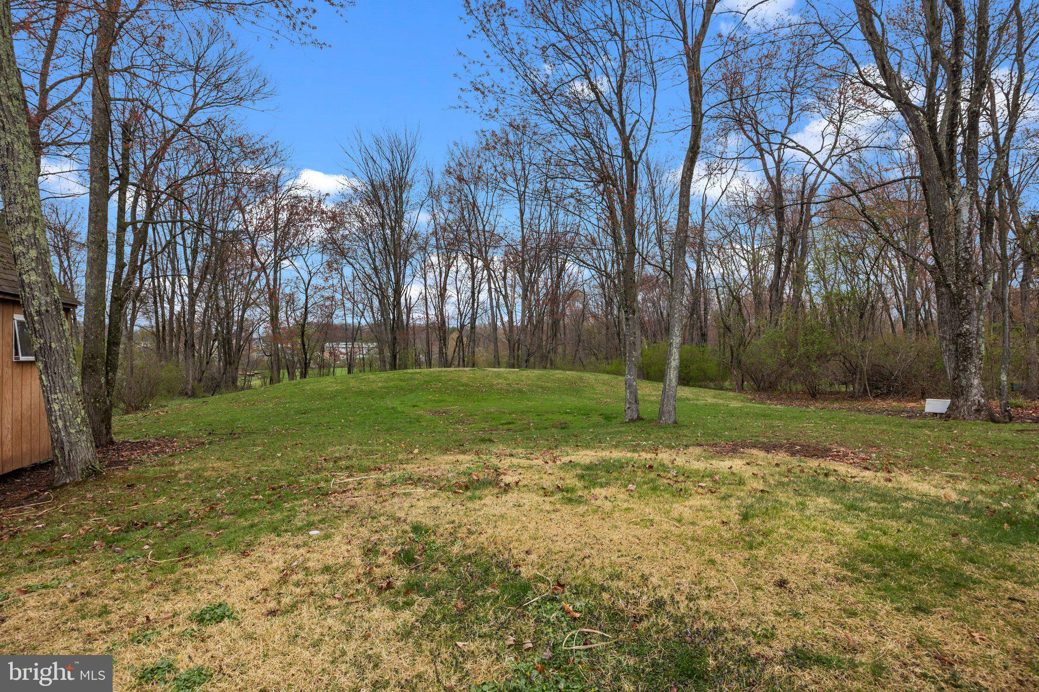 104 Park Road Ambler, PA 19002 - Photo 29 of 39 Backyard