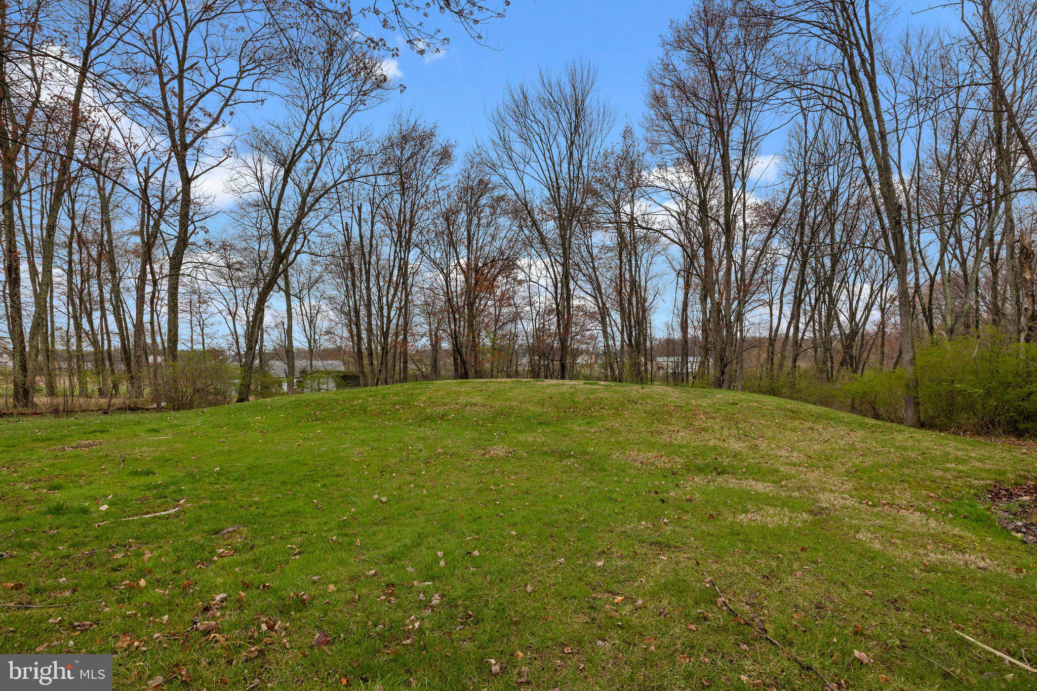 104 Park Road Ambler, PA 19002 - Photo 30 of 39 Backyard 2