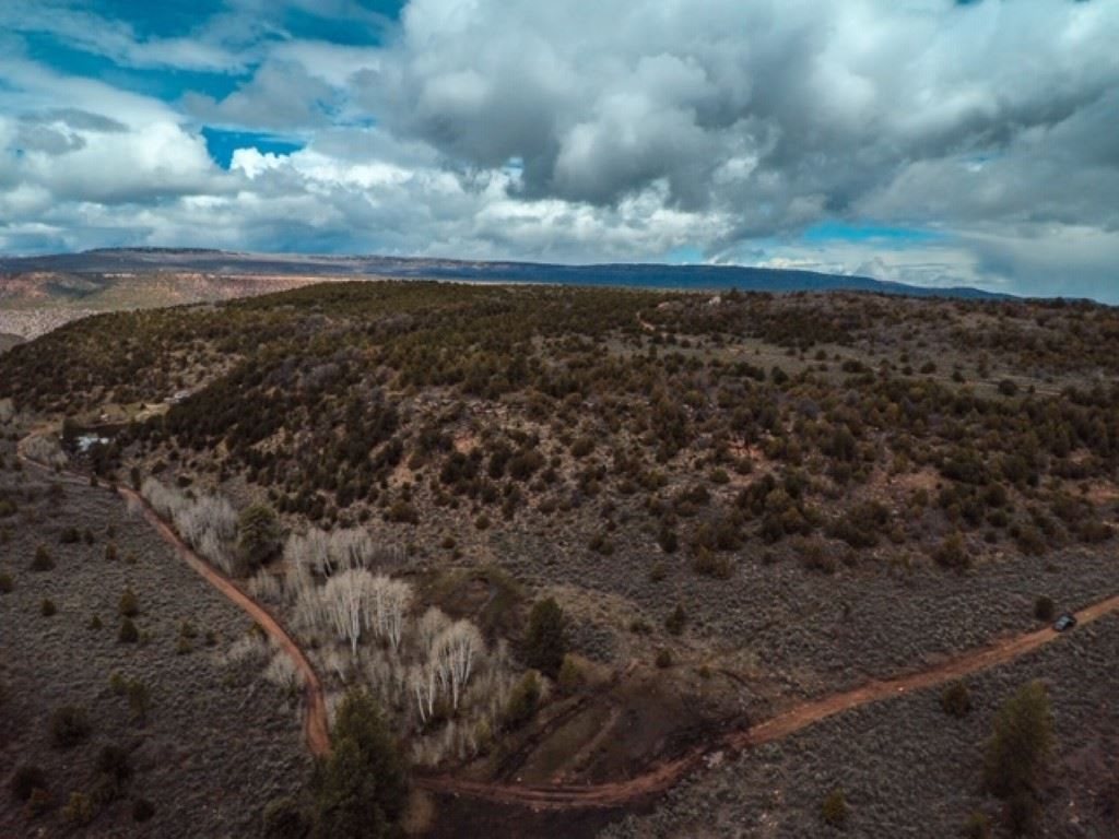 6501 Uncompahgre Divide Road Whitewater, CO 81527 - Photo 13 of 39 Gallery Image 13