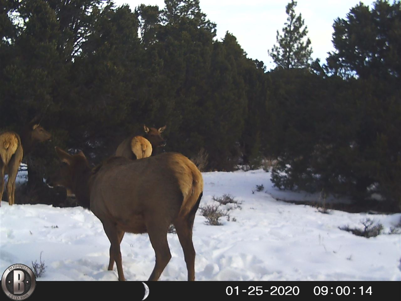 6501 Uncompahgre Divide Road Whitewater, CO 81527 - Photo 9 of 39 Gallery Image 9