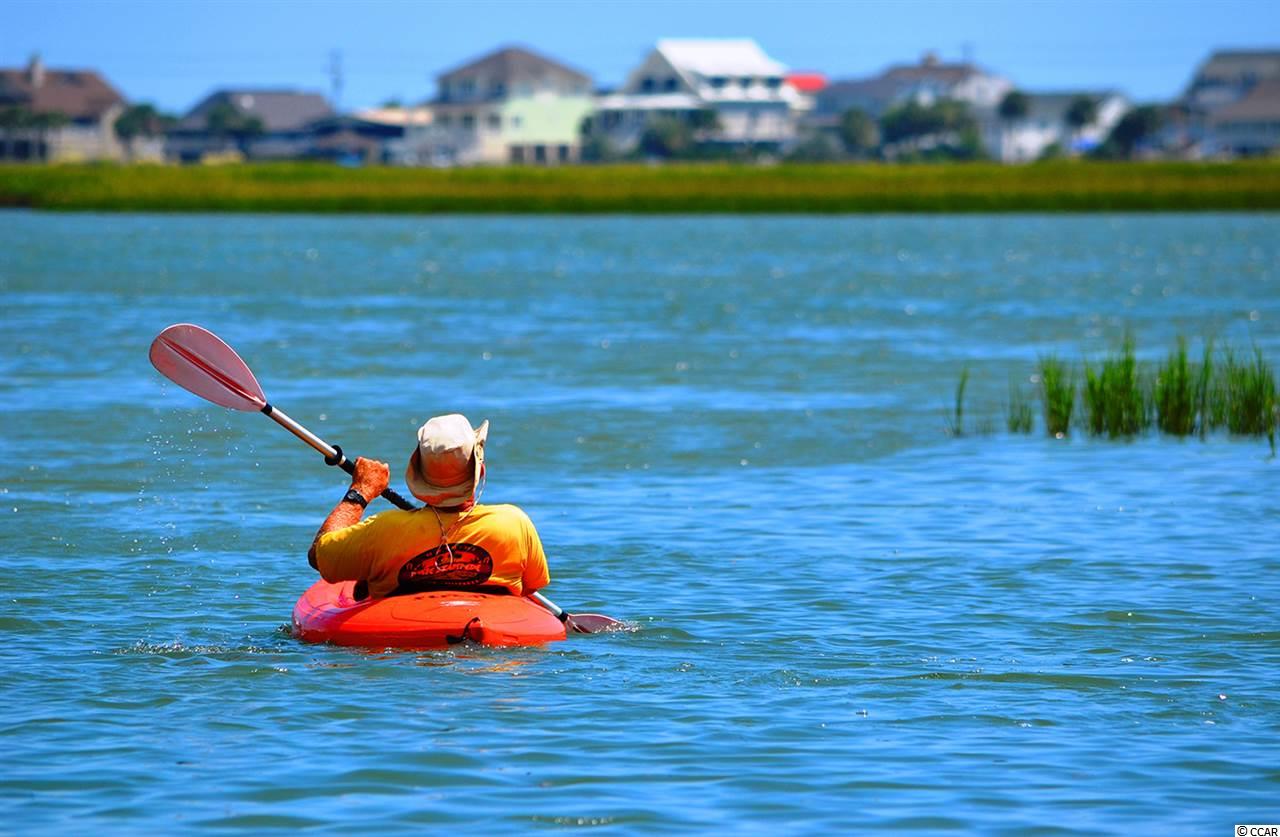 600 Carson Avenue Murrells Inlet, SC 29576 - Photo 4 of 6