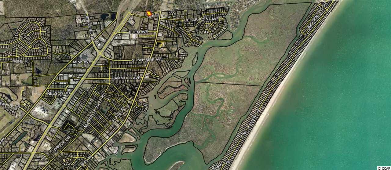 600 Carson Avenue Murrells Inlet, SC 29576 - Photo 6 of 6