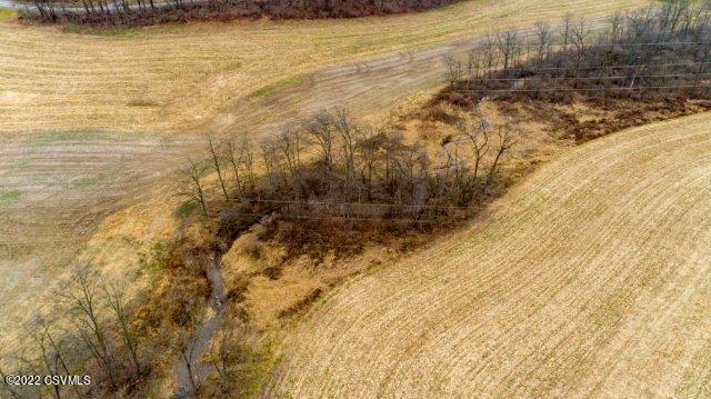 Beagle Road Lewisburg, PA 17837 - Photo 3 of 9
