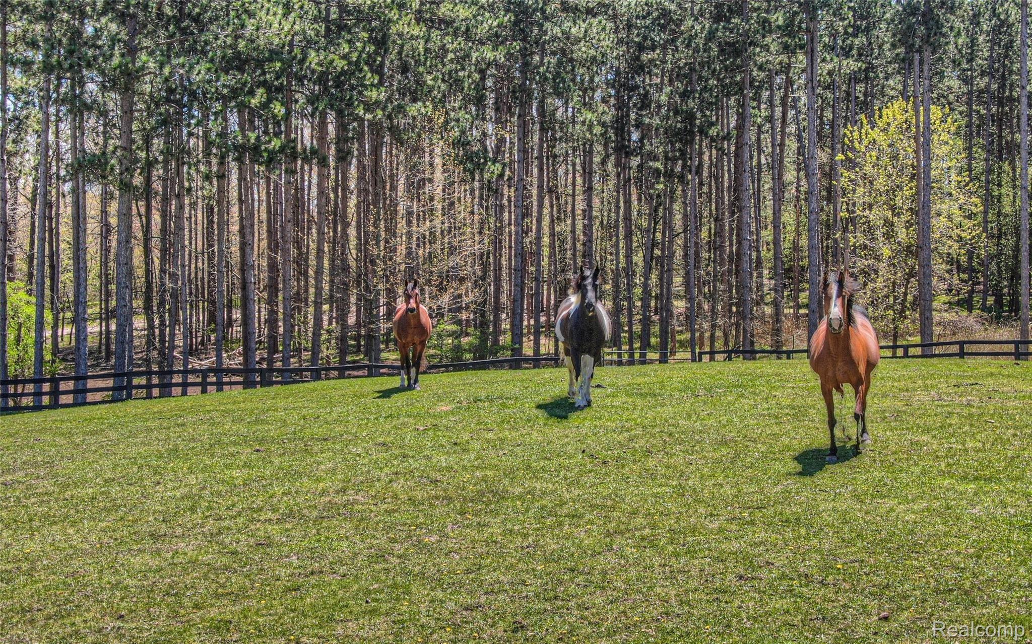 5820 Hempstead Road Metamora, MI 48455 - Photo 8 of 73 08 - Horses Paradise.jpg