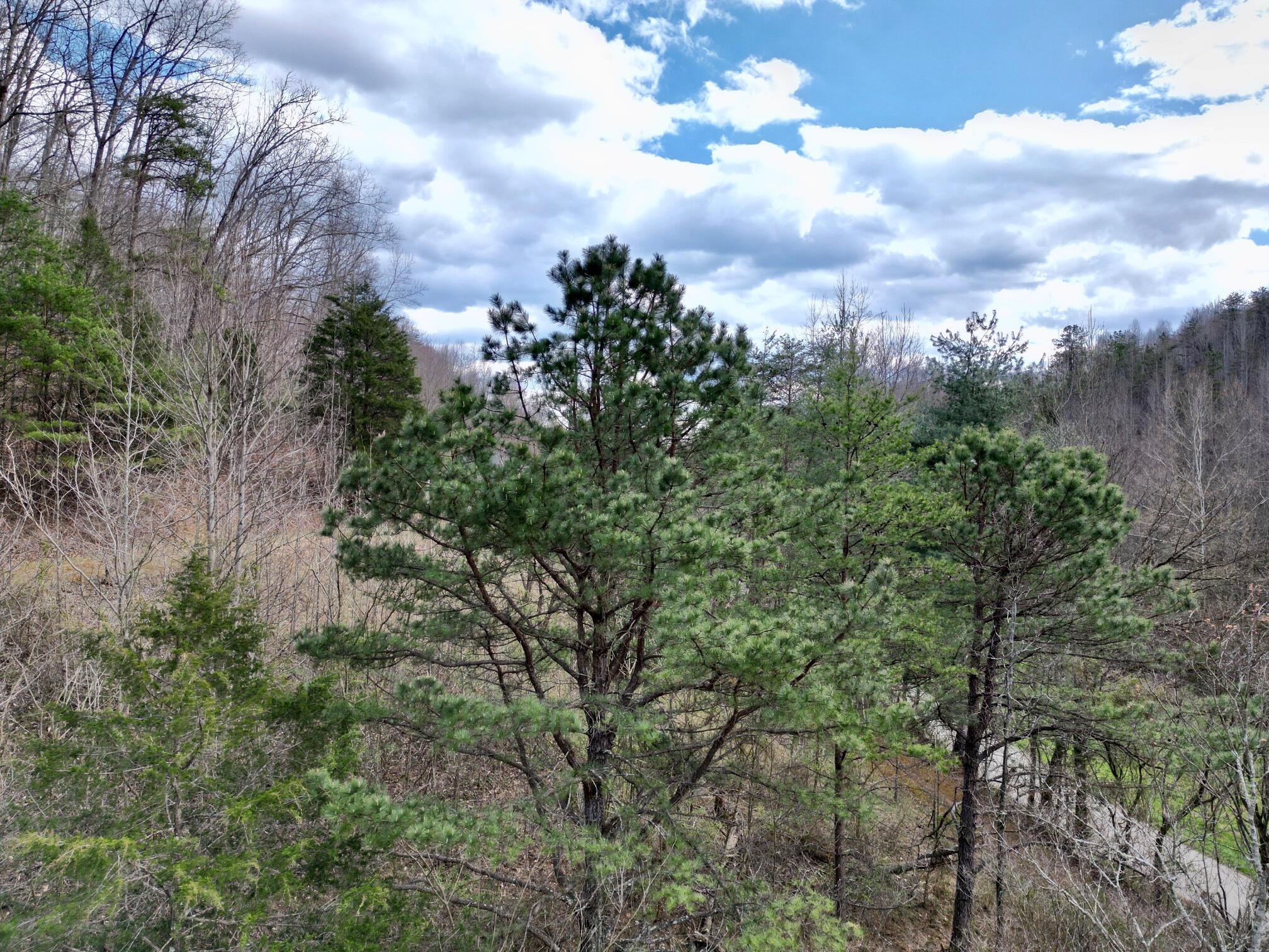 207 Gilliam Road Jackson, KY 41339 - Photo 19 of 28 dji_fly_20250326_154100_721_174301913729