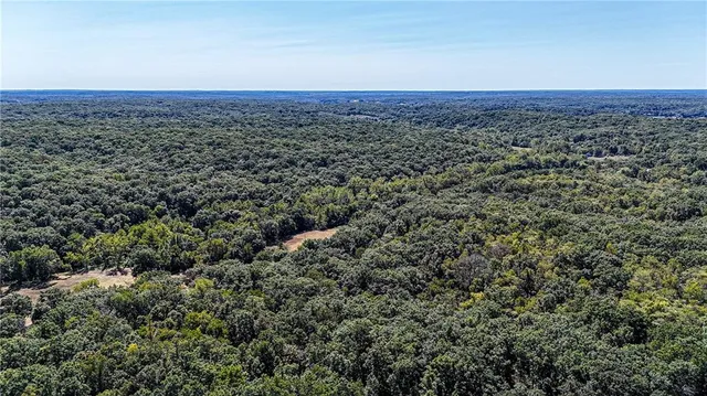 $1,625,000 | 27930 Hwy B, Lincoln, MO 65338