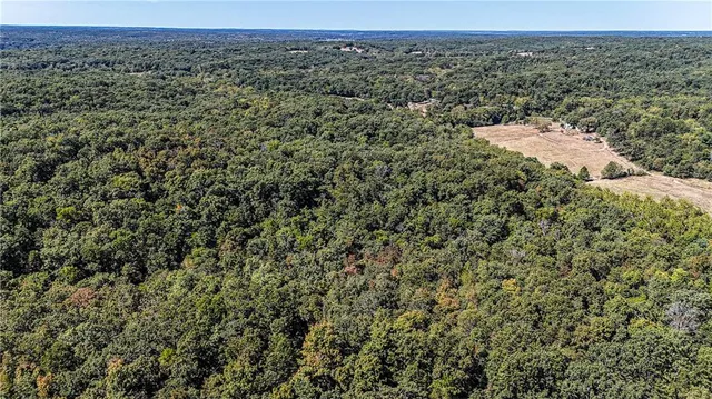 $1,625,000 | 27930 Hwy B, Lincoln, MO 65338