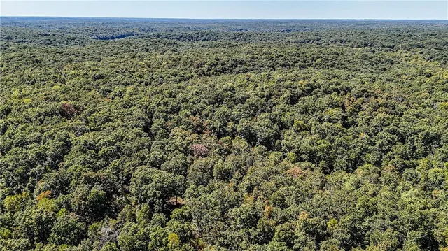 $1,625,000 | 27930 Hwy B, Lincoln, MO 65338