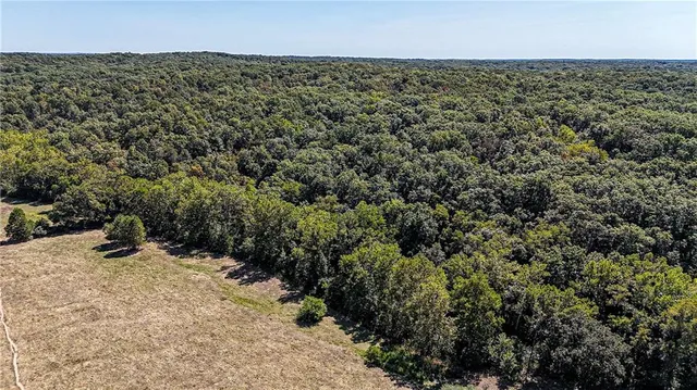 $1,625,000 | 27930 Hwy B, Lincoln, MO 65338