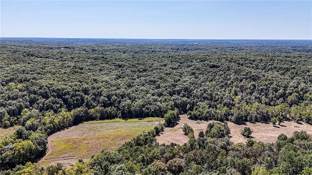 $1,625,000 | 27930 Hwy B, Lincoln, MO 65338