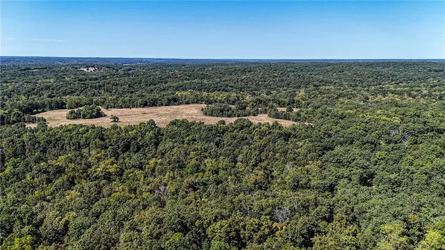 $1,625,000 | 27930 Hwy B, Lincoln, MO 65338