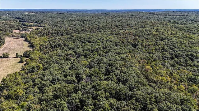 $1,625,000 | 27930 Hwy B, Lincoln, MO 65338