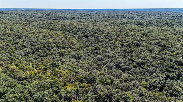 $1,625,000 | 27930 Hwy B, Lincoln, MO 65338