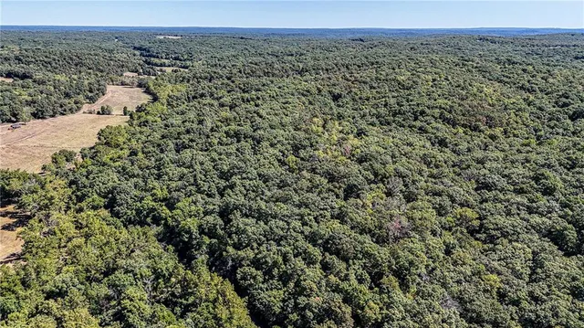 $1,625,000 | 27930 Hwy B, Lincoln, MO 65338