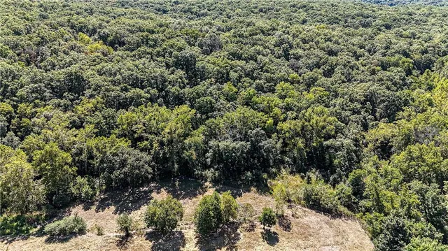 $1,625,000 | 27930 Hwy B, Lincoln, MO 65338